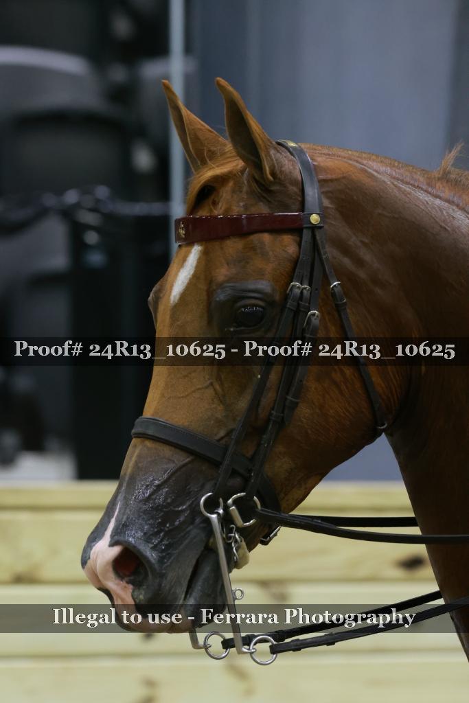 Proof Number 24R13_10625