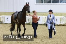 24R13_10631 thumbnail