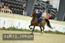 24R13_10640 thumbnail