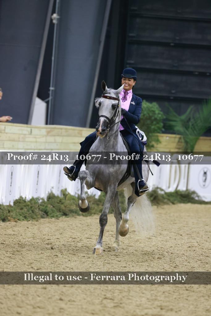 Proof Number 24R13_10677