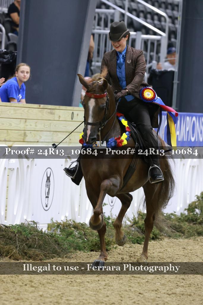Proof Number 24R13_10684