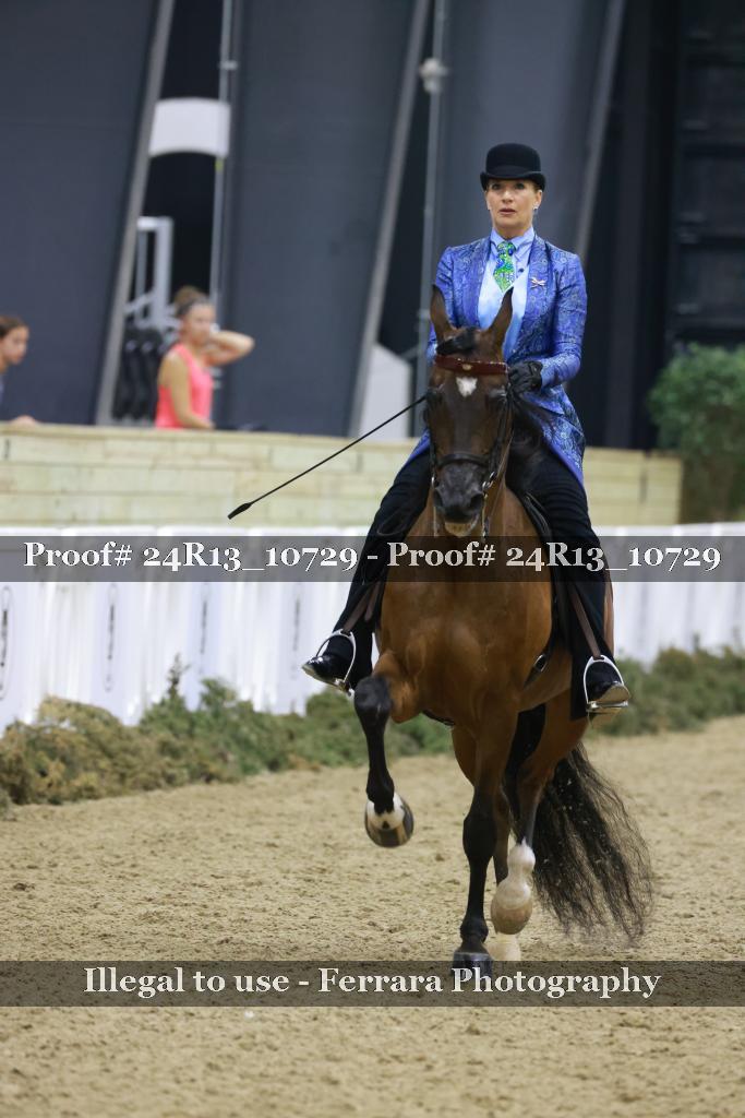Proof Number 24R13_10729