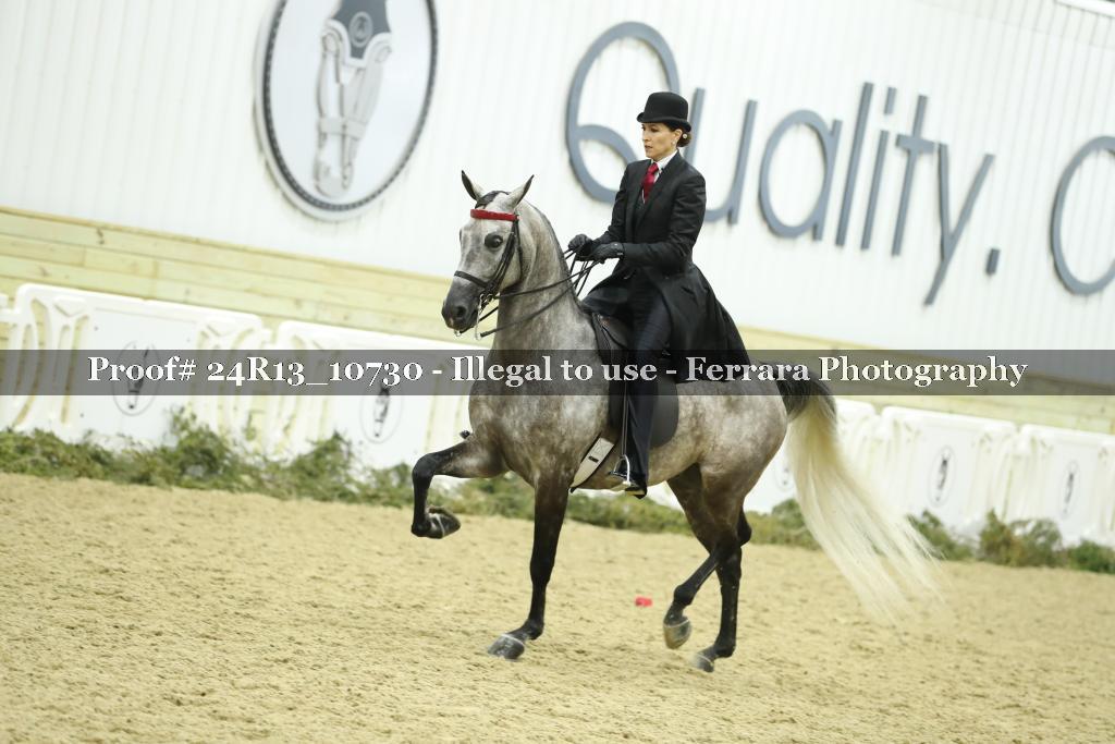 Proof Number 24R13_10730
