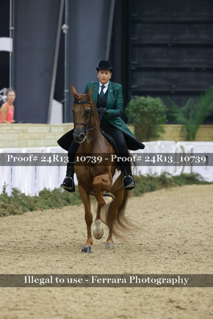 Proof Number 24R13_10739