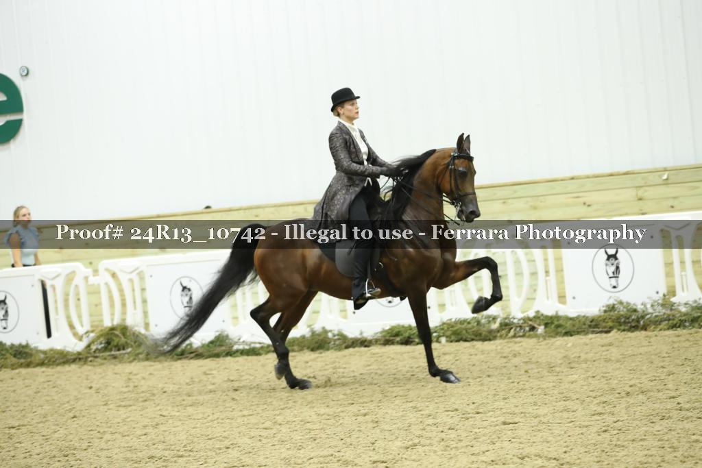 Proof Number 24R13_10742