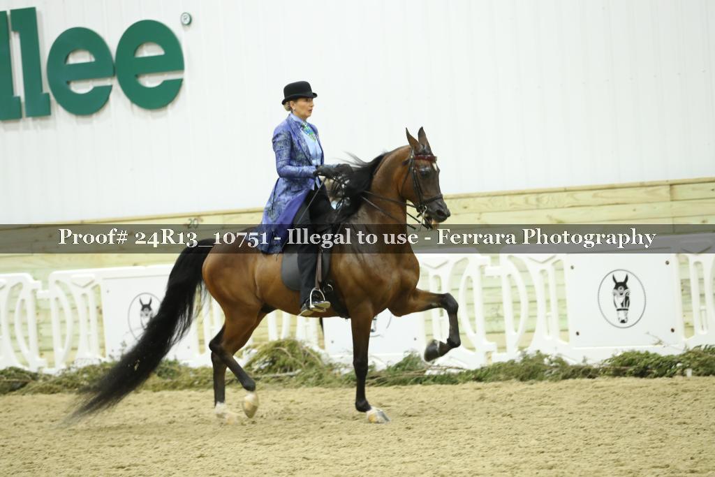 Proof Number 24R13_10751