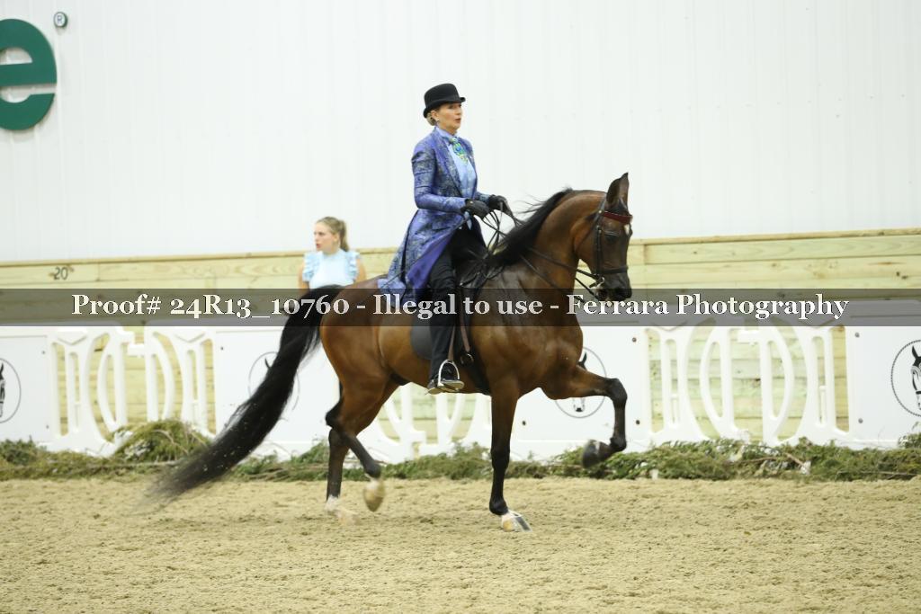Proof Number 24R13_10760