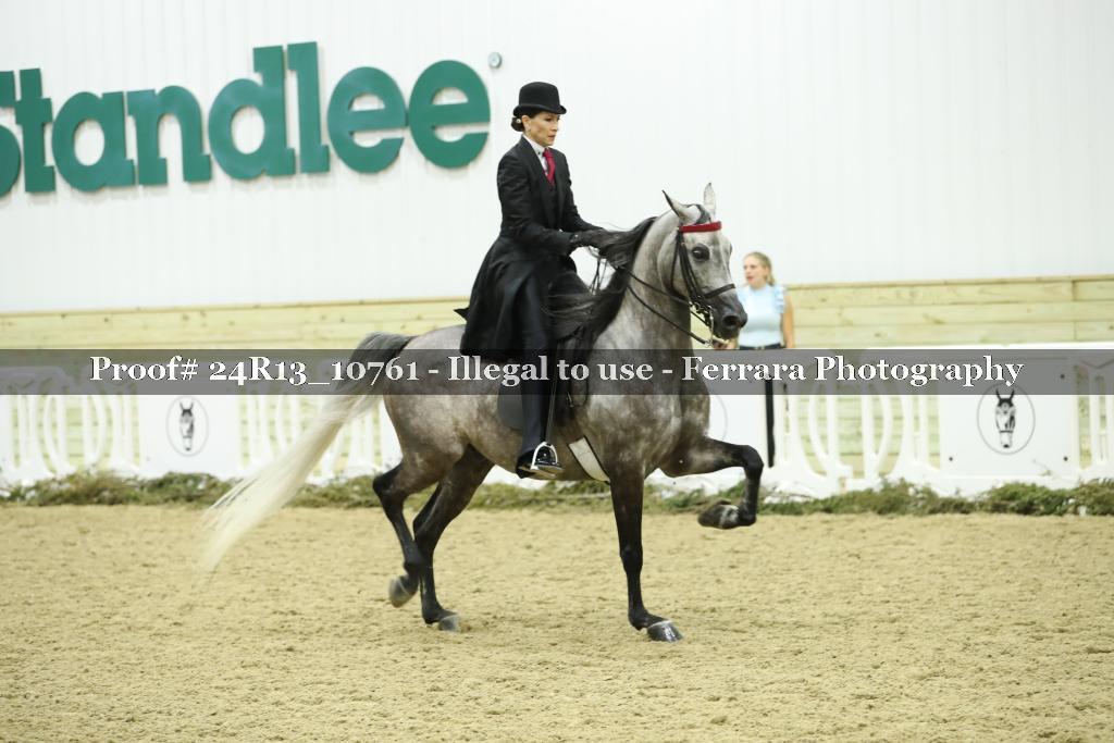 Proof Number 24R13_10761