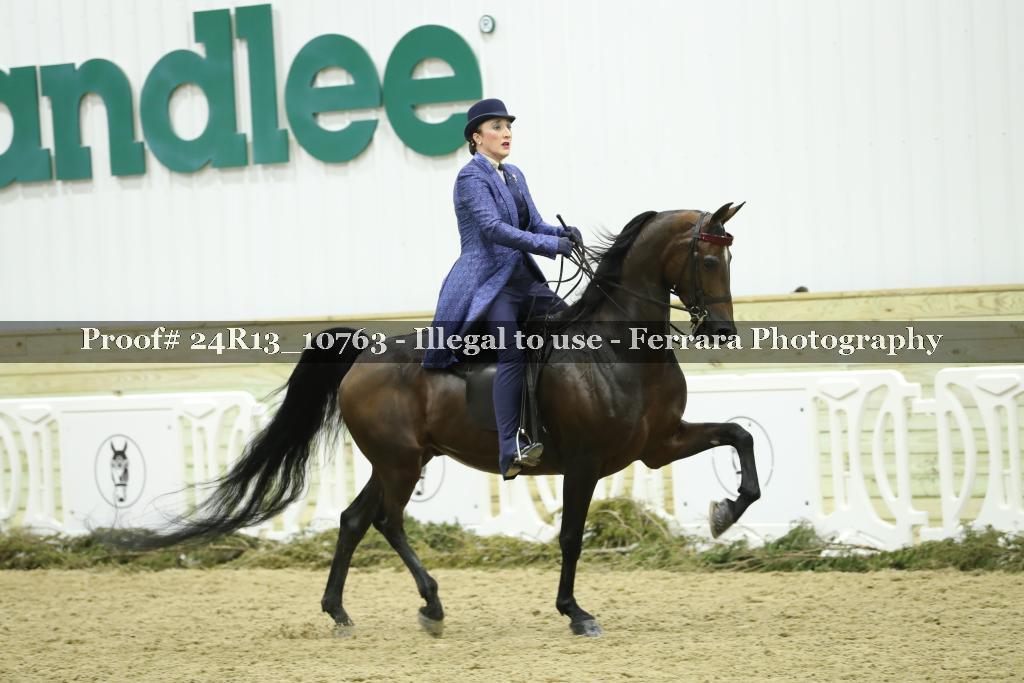 Proof Number 24R13_10763
