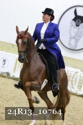 24R13_10764 thumbnail