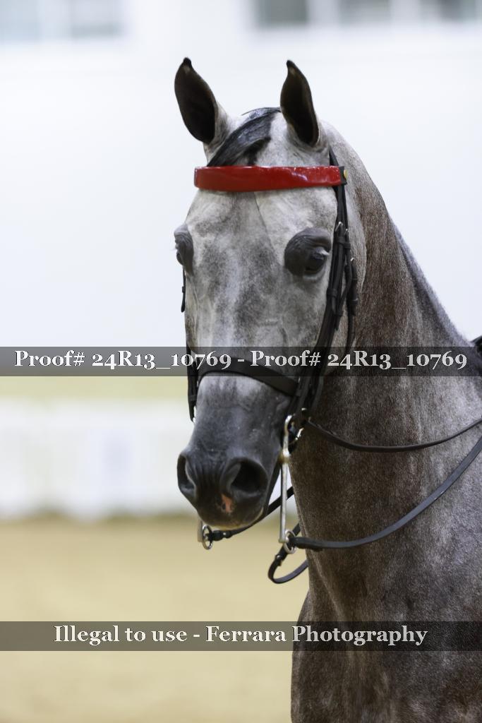 Proof Number 24R13_10769