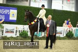 24R13_10771 thumbnail