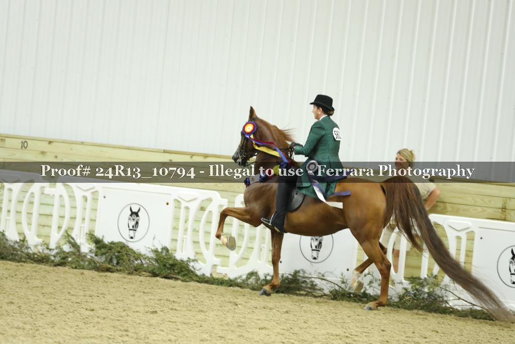 Proof Number 24R13_10794