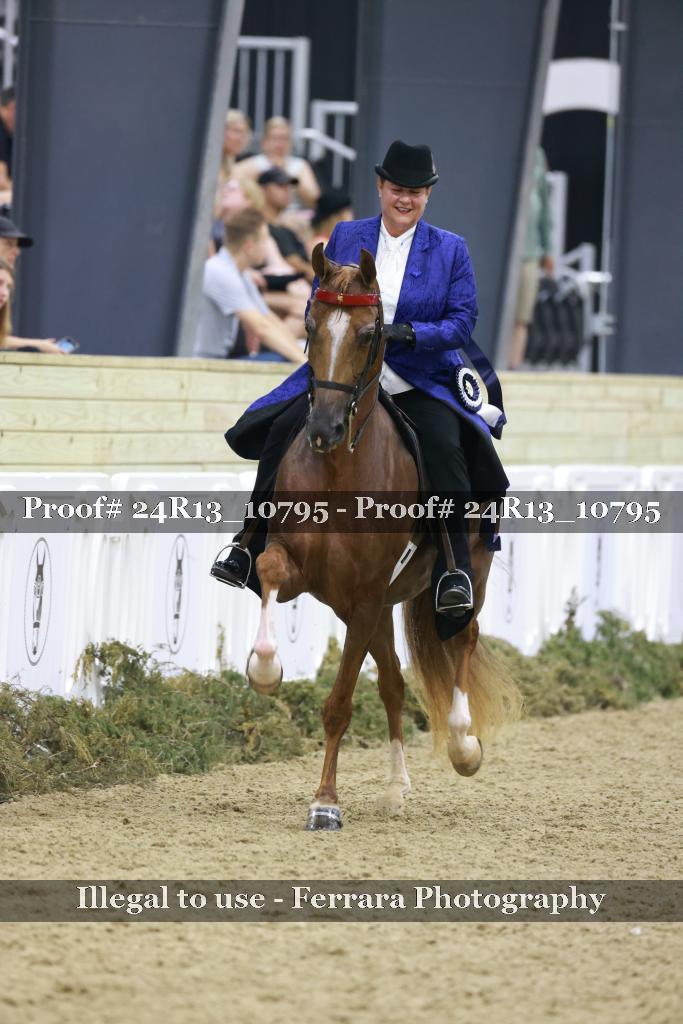 Proof Number 24R13_10795