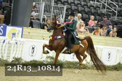 24R13_10814 thumbnail