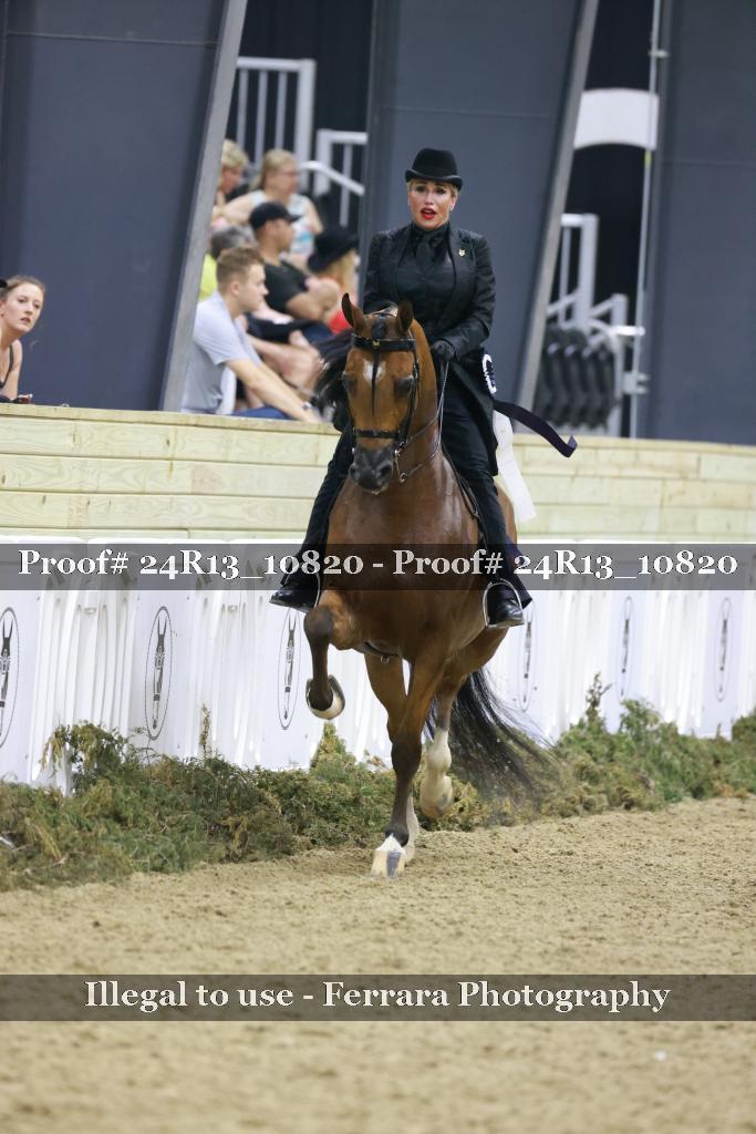 Proof Number 24R13_10820