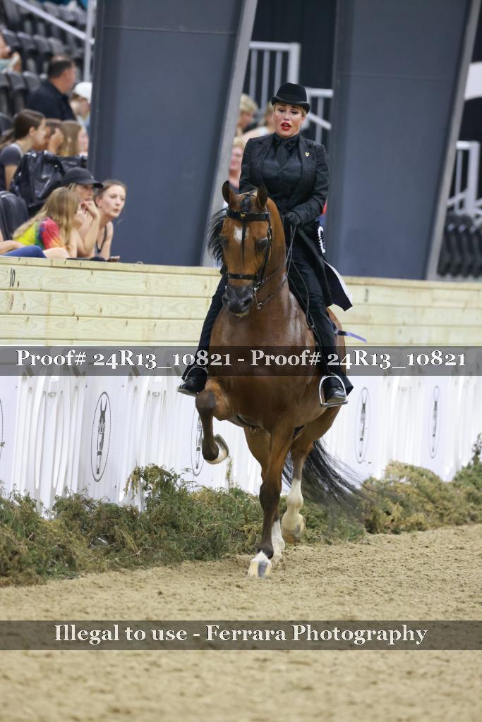 Proof Number 24R13_10821