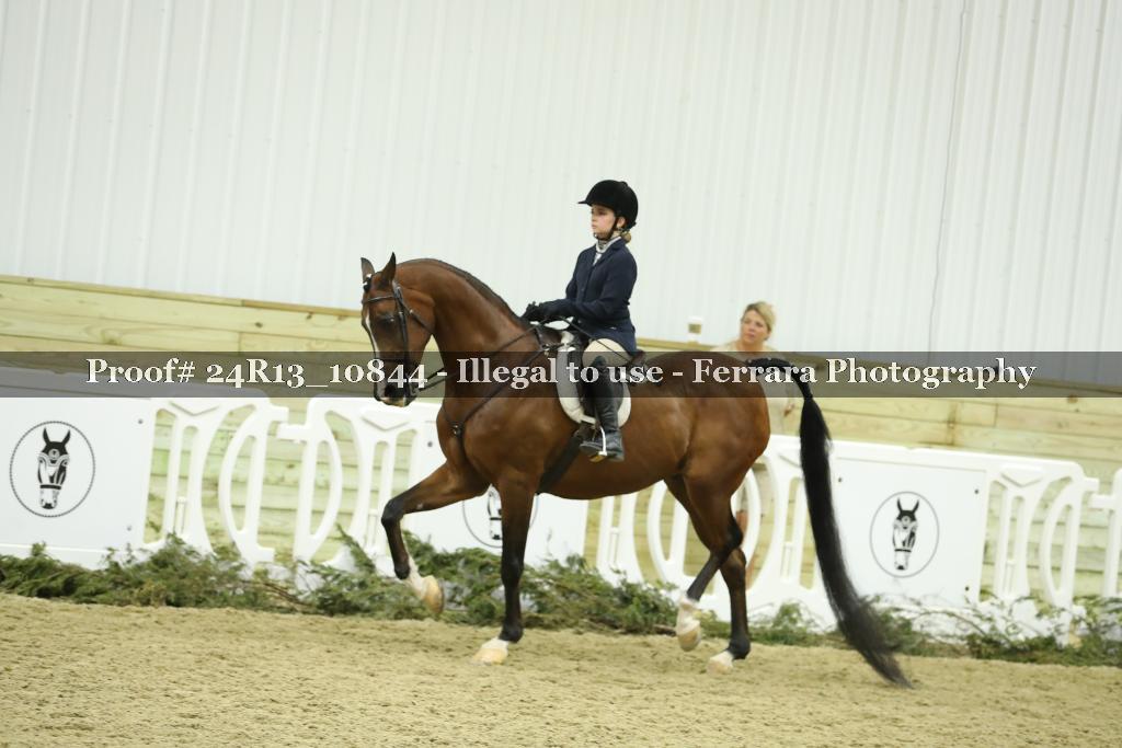 Proof Number 24R13_10844