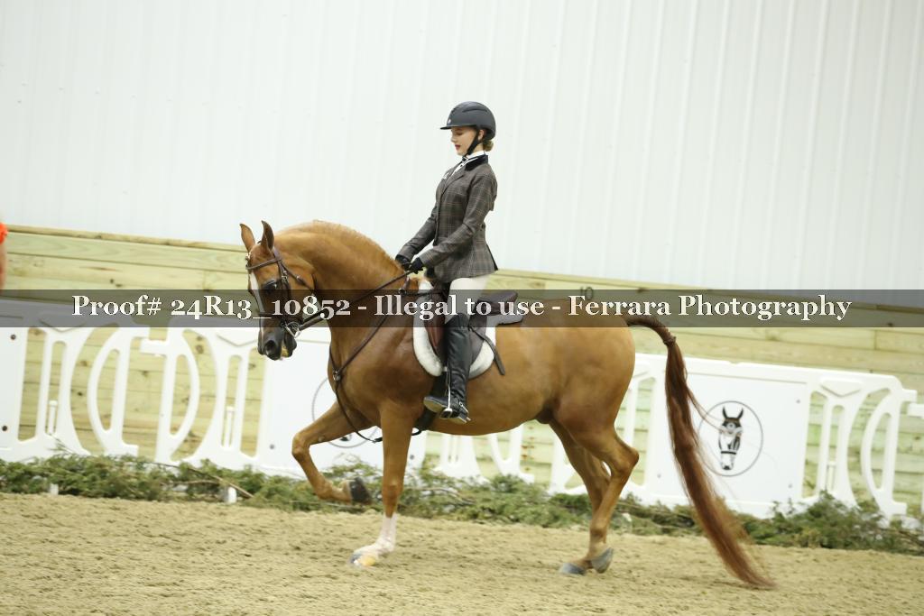 Proof Number 24R13_10852