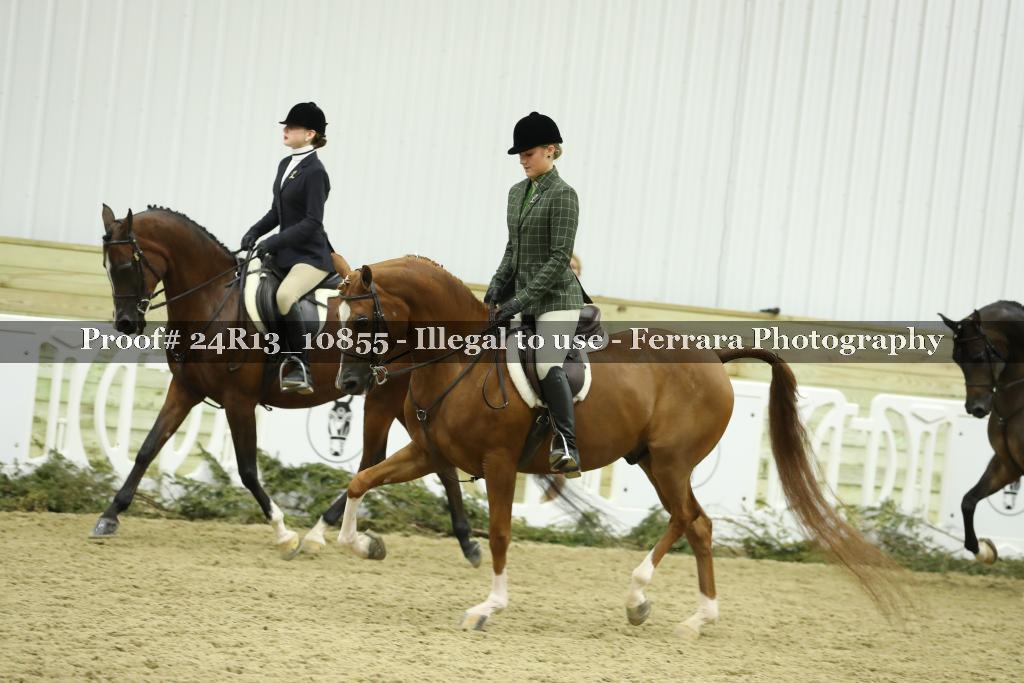 Proof Number 24R13_10855