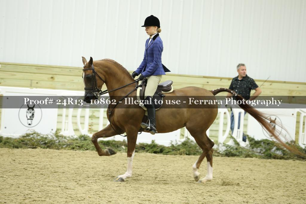 Proof Number 24R13_10862