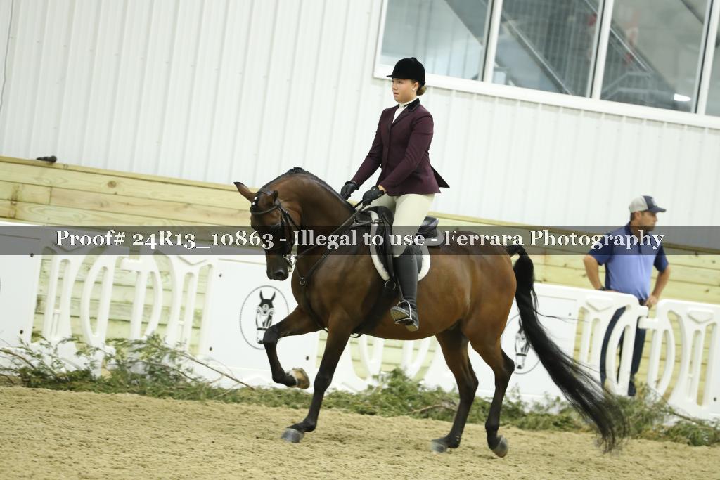Proof Number 24R13_10863