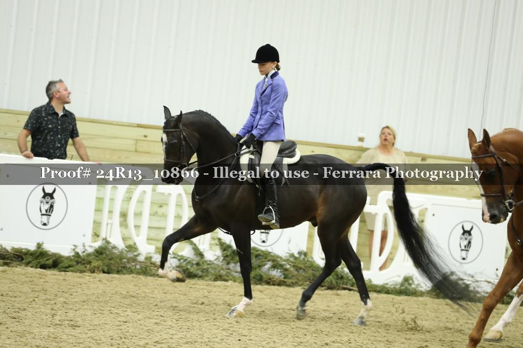 Proof Number 24R13_10866