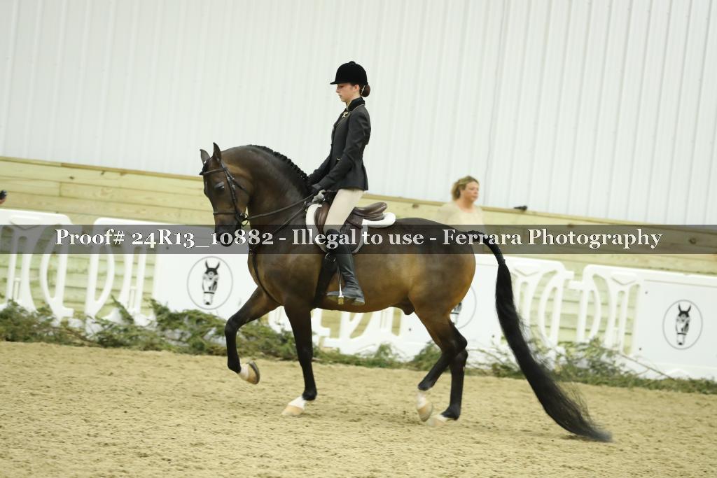 Proof Number 24R13_10882