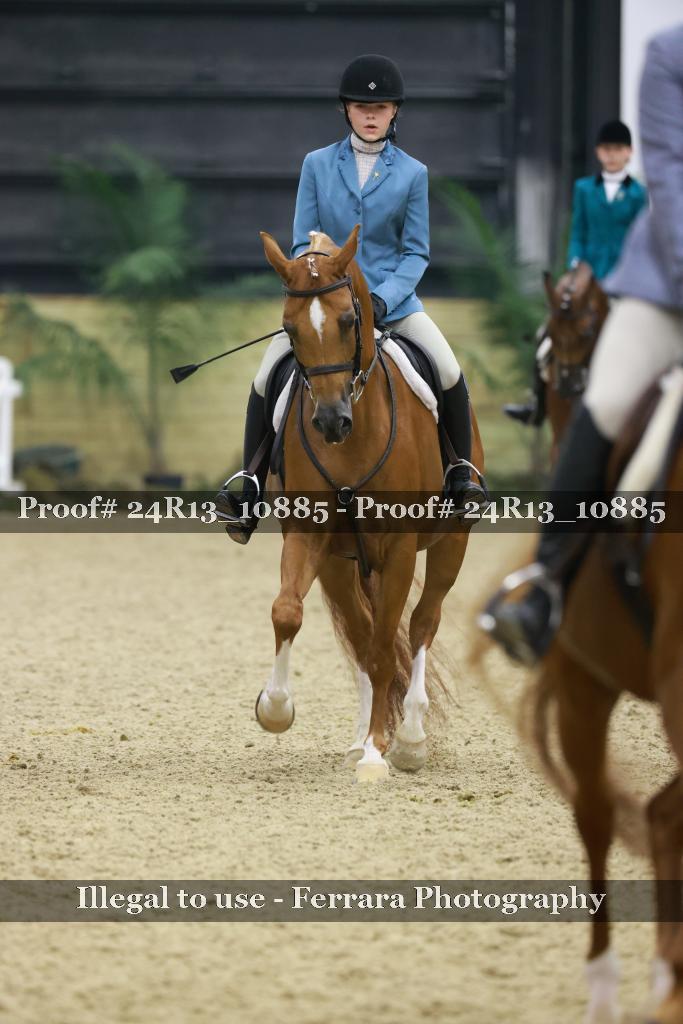 Proof Number 24R13_10885