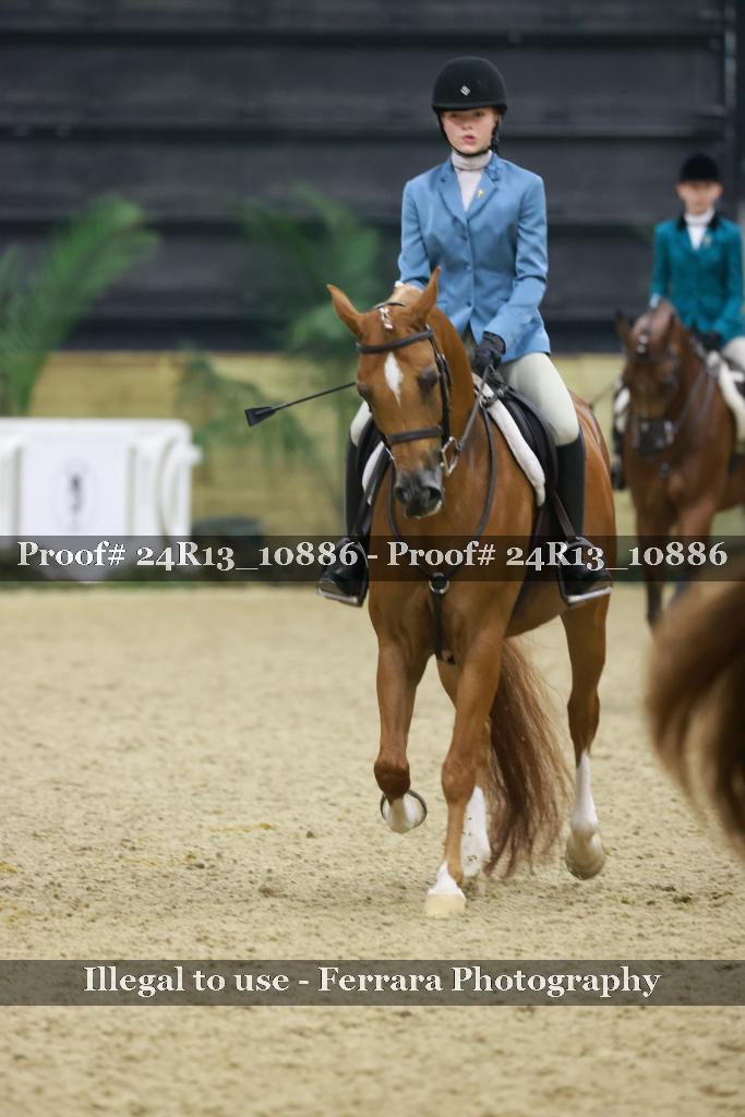 Proof Number 24R13_10886