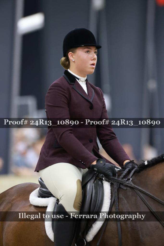 Proof Number 24R13_10890