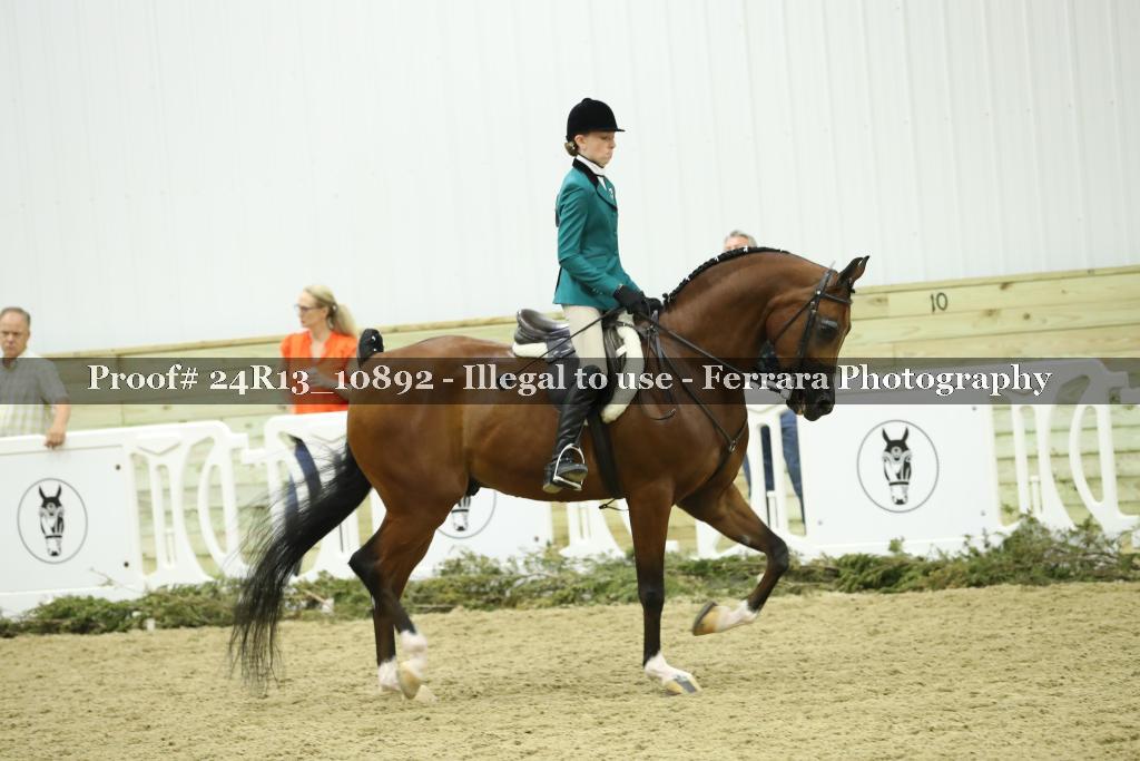 Proof Number 24R13_10892
