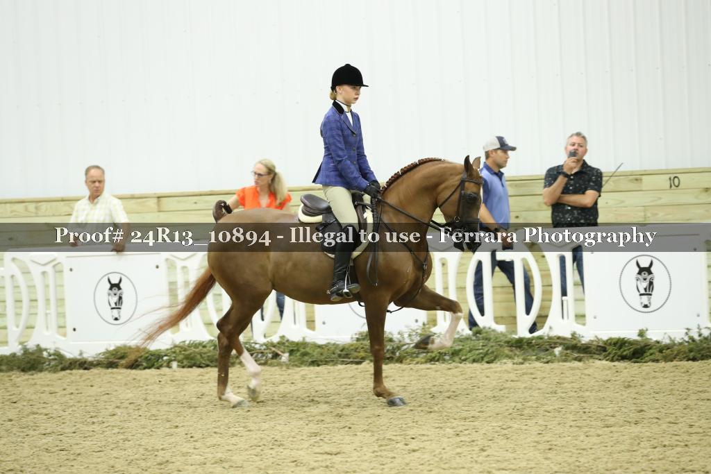 Proof Number 24R13_10894