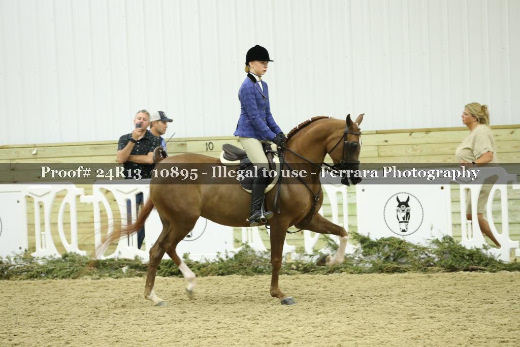 Proof Number 24R13_10895