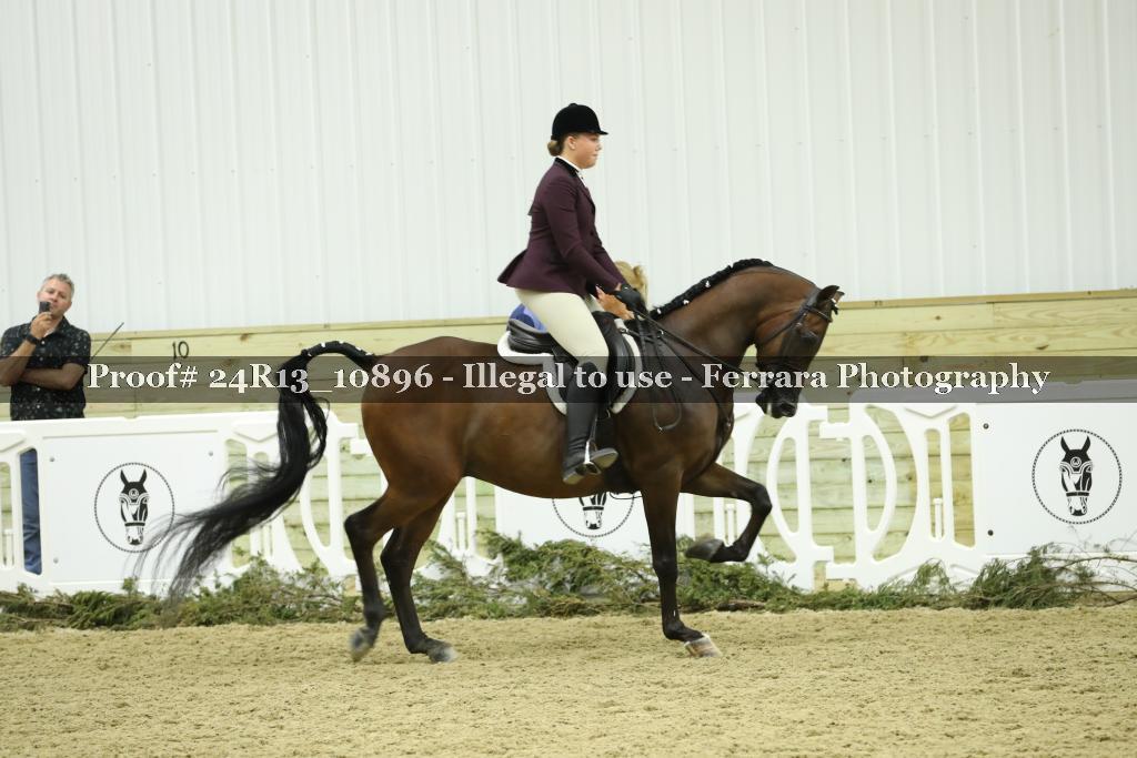 Proof Number 24R13_10896