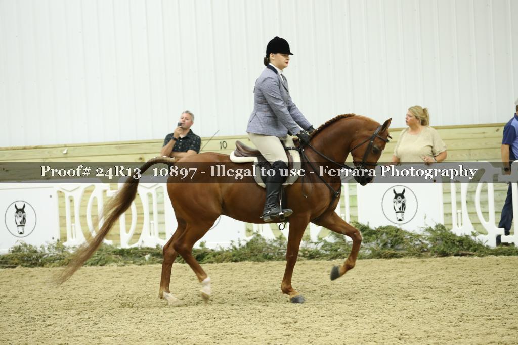 Proof Number 24R13_10897