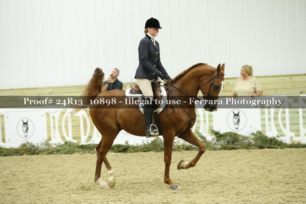 Proof Number 24R13_10898