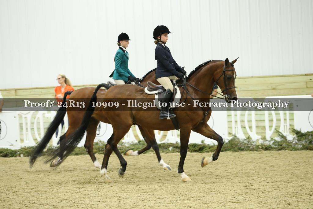 Proof Number 24R13_10909