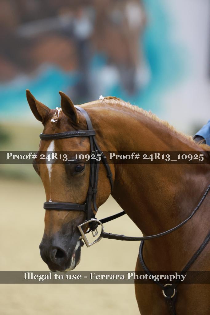 Proof Number 24R13_10925