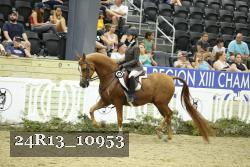 24R13_10953 thumbnail