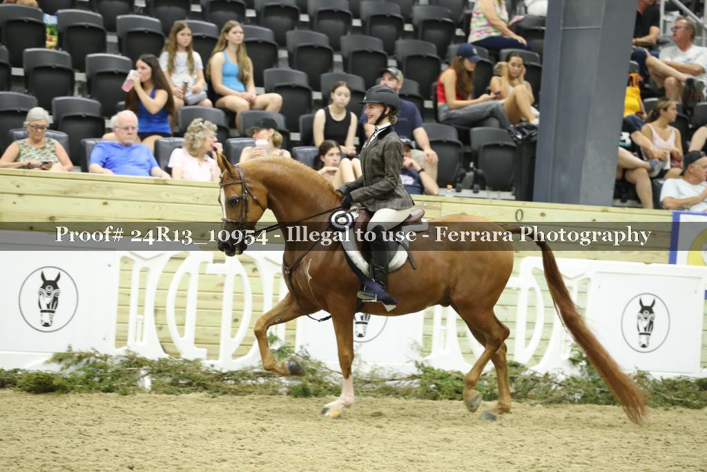 Proof Number 24R13_10954