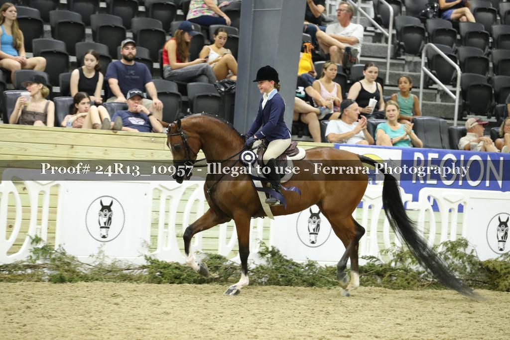 Proof Number 24R13_10957