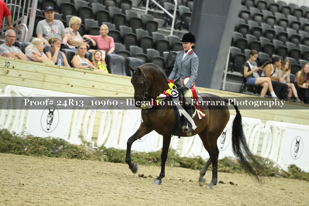 Proof Number 24R13_10960