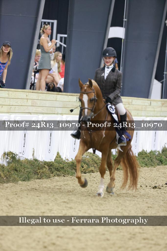 Proof Number 24R13_10970