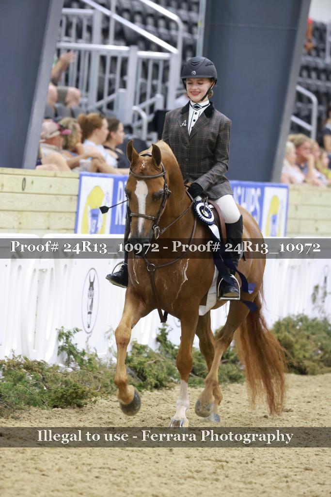 Proof Number 24R13_10972