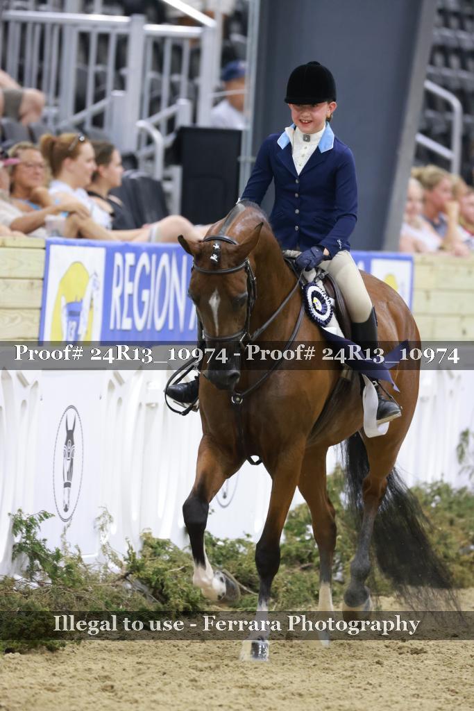 Proof Number 24R13_10974