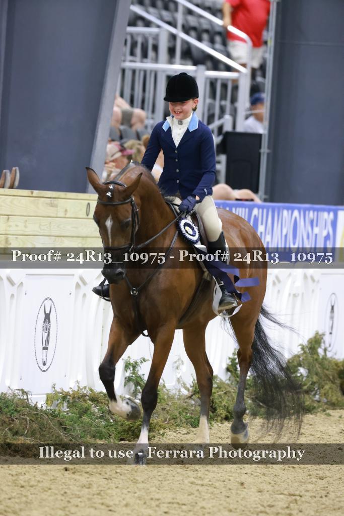 Proof Number 24R13_10975