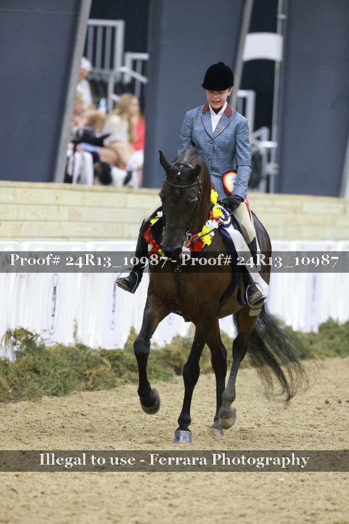 Proof Number 24R13_10987