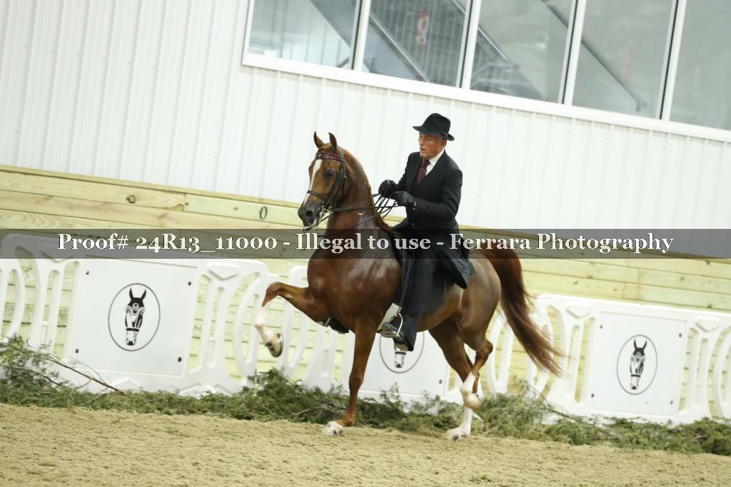 Proof Number 24R13_11000