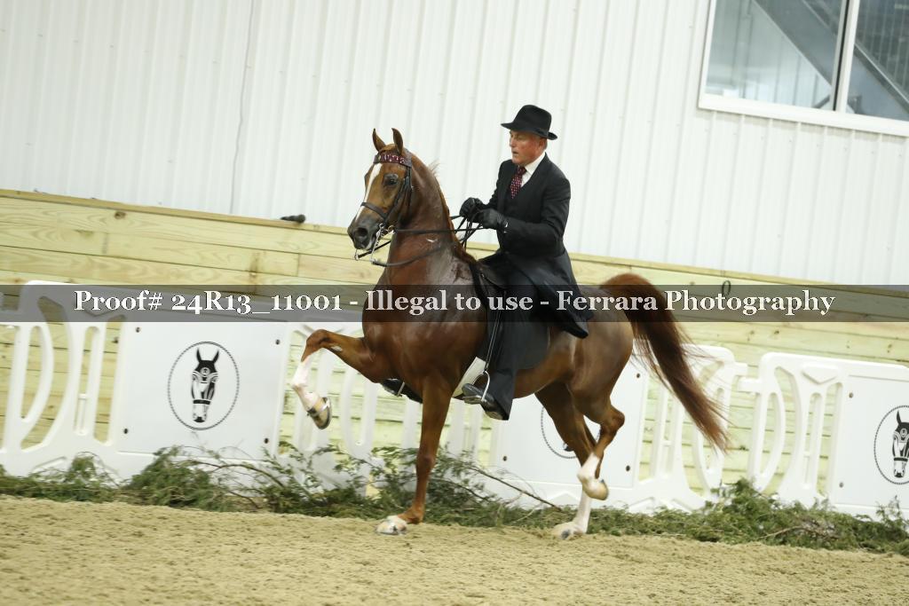 Proof Number 24R13_11001